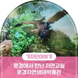 문경 실내 놀거리 , 문경에서 만난 살아있는 자연교실 문경자연생태박물관