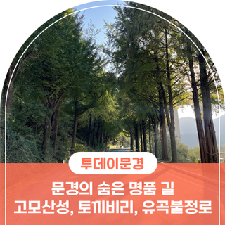 문경의 숨은 명품 길, 고모산성과 토끼비리, 유곡불정로 메타세쿼이아 길