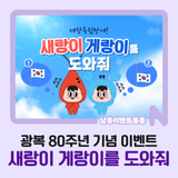 [광복 80주년 기념 이벤트] 새랑이 게랑이를 도와줘