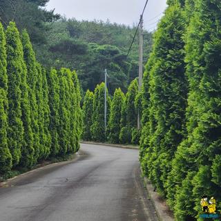 남해여행 남해랑만남해 들꽃효소마을 초로록촉촉 이쁜 산책길 체험마을 소개