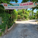 폐교가 캠핑장으로! 감성 가득한 남해 버드하우스 캠핑장 방문기