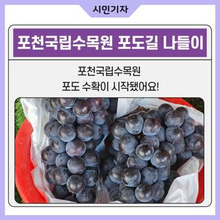 포천 국립수목원 포도길 나들이