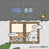 ️태풍·호우, 그냥 맞지 말고 똑똑하게 대비해요!⛑️