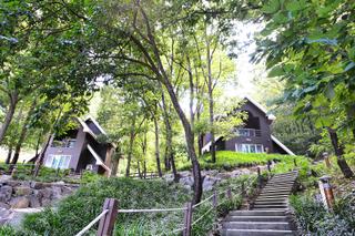 하늘과 땅과 생명이 숨 쉬는 논산 양촌자연휴양림