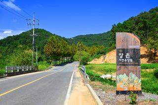 황톳길 맨발로 걷기를 할 수 있는 양촌자연휴양림의 초가을