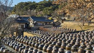 논산의 문화유산 탐방 "명재고택과 노성향교"