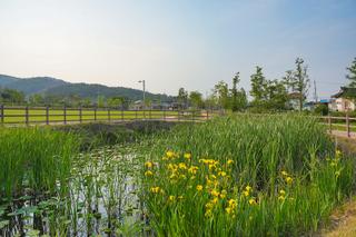 논산 상월면 한 바퀴 여행과 벽화마을 이야기