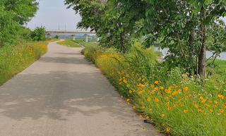 강경미내다리의 싱그런 여름 풍경을 보며 조선시대를 그리다