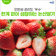 한계 없이 성장하는 논산딸기.. 안전성 관리도 ‘우수’