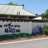 수령 330년 은행나무 두 그루가 지키는 행림서원