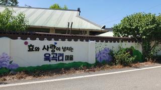 수령 330년 은행나무 두 그루가 지키는 행림서원