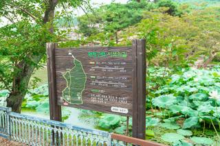 시간이 멈춘 듯한 아름다움 논산 명재고택 노성향교