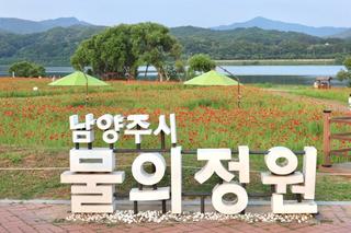 남양주 물의정원, 낮에는 만개한 양귀비 & 밤에는 야경명소!