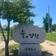 연꽃이 피어나기 시작한 남양주 물의정원에서 여름 산책