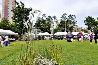 다산 중앙공원을 가을로 물들인 '남양주 정원문화박람회' 정원여행 : 돌아봄, 바라봄, 그려봄, 자연과 호흡하는 정원문화