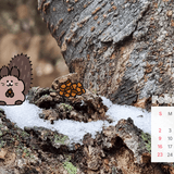 [2월의 군포]"시작하기 좋은 시기" 캘린더 배경화면 및 다이어리 다운로드(PC/모바일)