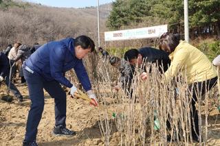 [현장속으로]녹색도시 군포시, 희망의 나무를 심어요!