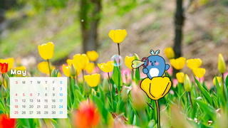 [5월의 군포]"유연한 마음가짐의 5월" 캘린더 배경화면 및 다이어리 다운로드(PC/모바일)