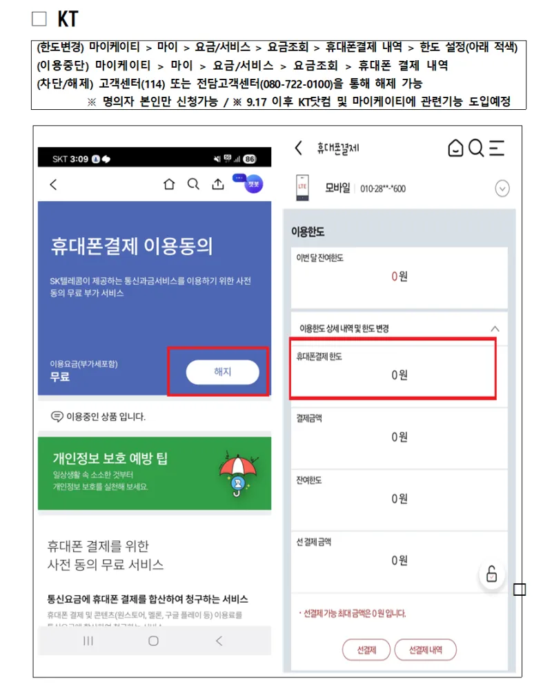 휴대폰 소액결제 확실한 차단 방법 | 통신사별 소액결제 피해 예방법 | 경기도 오산시 | 웰로
