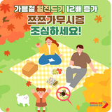 쯔쯔가무시 원인 털진드기 12배 증가, 증상과 예방법 알아두세요!