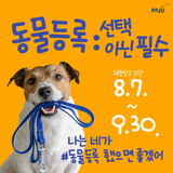 반려동물 등록, 선택이 아닌 필수입니다