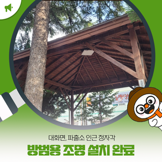 대화면, 파출소 인근 정자각에 방범용 조명 설치 완료