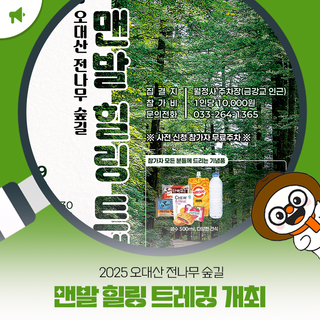 2025 오대산 전나무 숲길 맨발 힐링 트레킹 개최