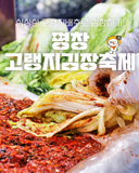 싱싱한 고랭지배추로 김장하기! 평창 고랭지김장축제