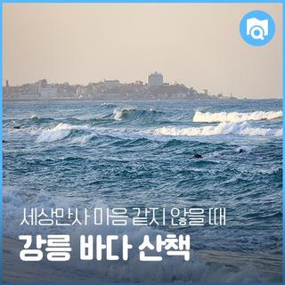 세상만사 마음 같지 않을 때... 강릉바다가 답이지...!