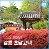 임영의 봄날에... 초당고택