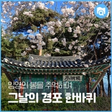 임영의 봄을 추억하며... 그날의 경포 한바퀴