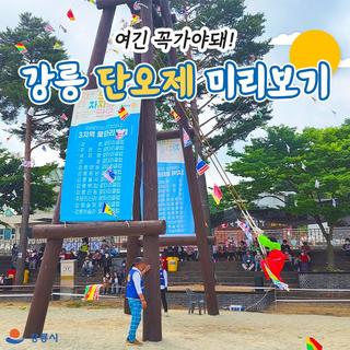 여긴 꼭 가야돼! 강릉 단오제 미리보기