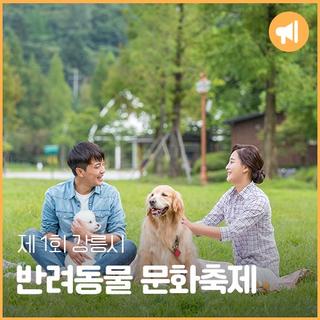 제1회 강릉시 반려동물 문화축제 개최