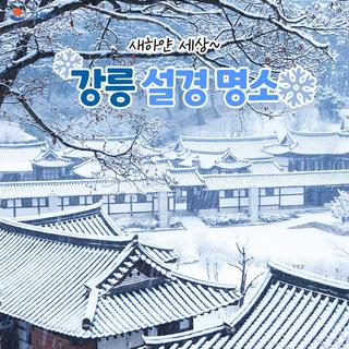 반짝반짝 새하얀 세상~ 강릉 설경 명소