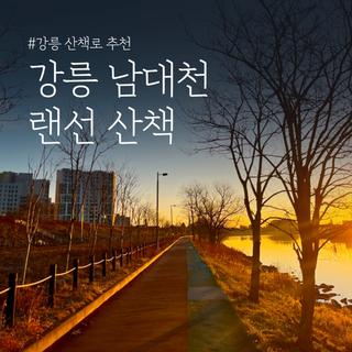 강릉 산책로 추천 | 봄이 오기 전 미리 랜선산책 해보는 강릉 남대천