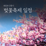 2024 강릉시 벚꽃축제 일정을 알려드립니다