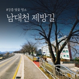 강릉 벚꽃 명소 남대천 제방길