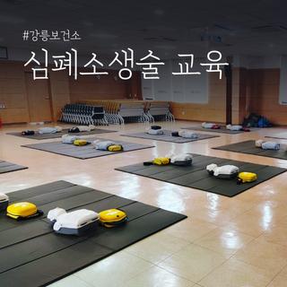 강릉보건소 교육 심폐소생술을 배우다
