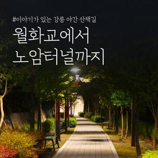 이야기가 있는 강릉 야간 산책길, 월화교에서 노암터널까지