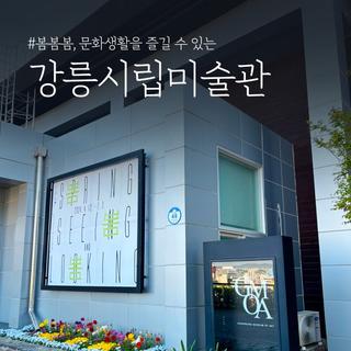 봄봄봄, 문화생활을 즐길 수 있는 강릉시립미술관