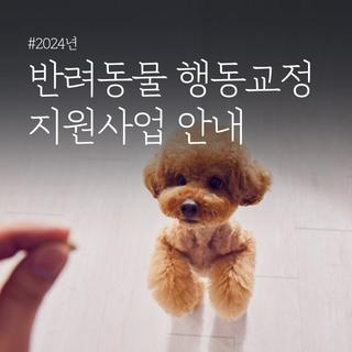 2024년도 반려동물 행동교정 지원사업 참여자 모집