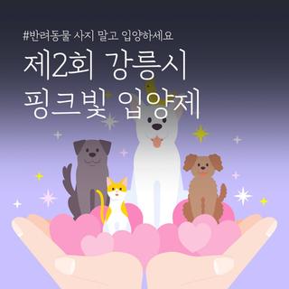 반려동물 사지 말고 입양해 주세요! 제2회 강릉시 핑크빛 입양제