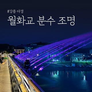 아름다운 강릉 월화교 분수 조명