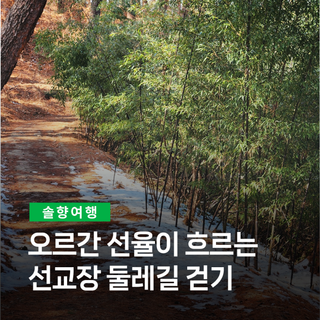 오르간 선율이 흐르는 선교장 둘레길 걷기