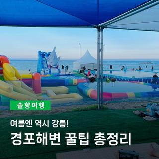 여름엔 역시 강릉! 경포해변 물놀이장 & 해수욕장 꿀팁 총정리
