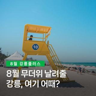 [강릉플러스 8월] 8월 무더위 날려줄강릉, 여기 어때?