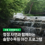 [강릉플러스 8월] 청정 자연과 함께하는솔향수목원 야간 프로그램