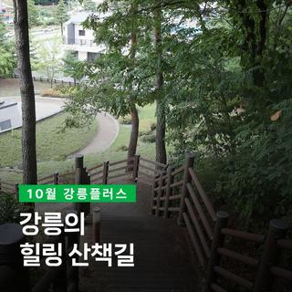 [강릉플러스 10월] 강릉의 힐링 산책길