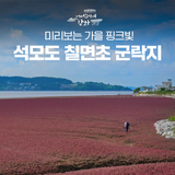 미리보는 가을, 석모도 칠면초 군락지의 핑크빛 물결