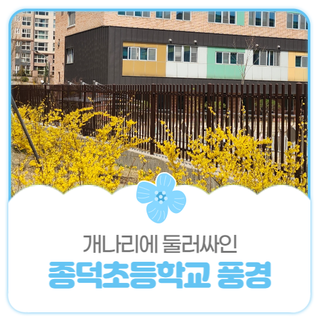 평택시민기자단 I 아이들과 함께! 종덕초 근처 개나리